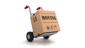 Professional removalist in melbourne